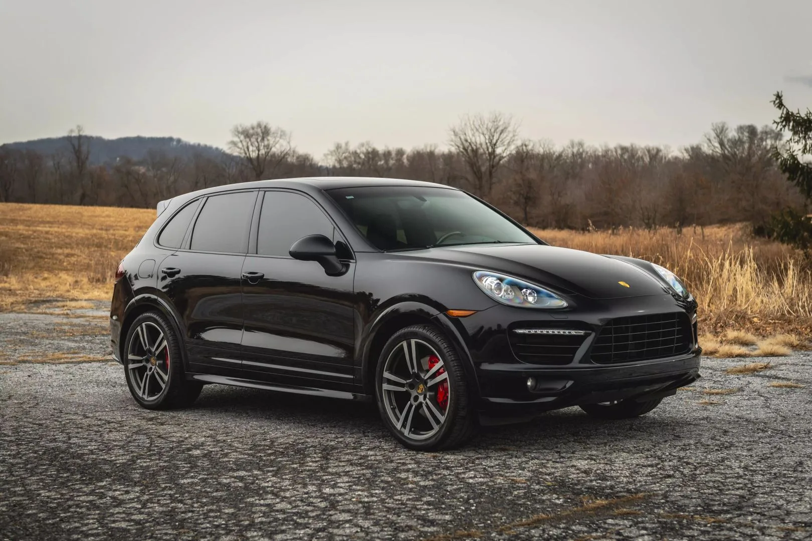 image - 2025-02-19T105144.774